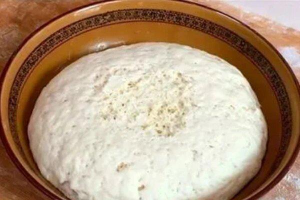 母发面一般几个小时看这里！爱游戏app网站手机版酵(图12)